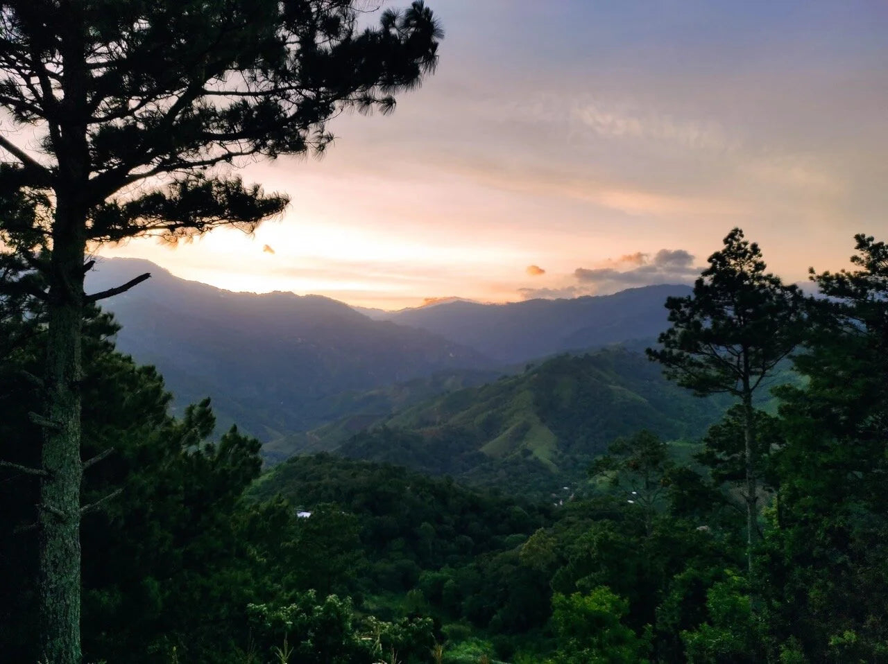 Galería CAFESMO productos y paisajes