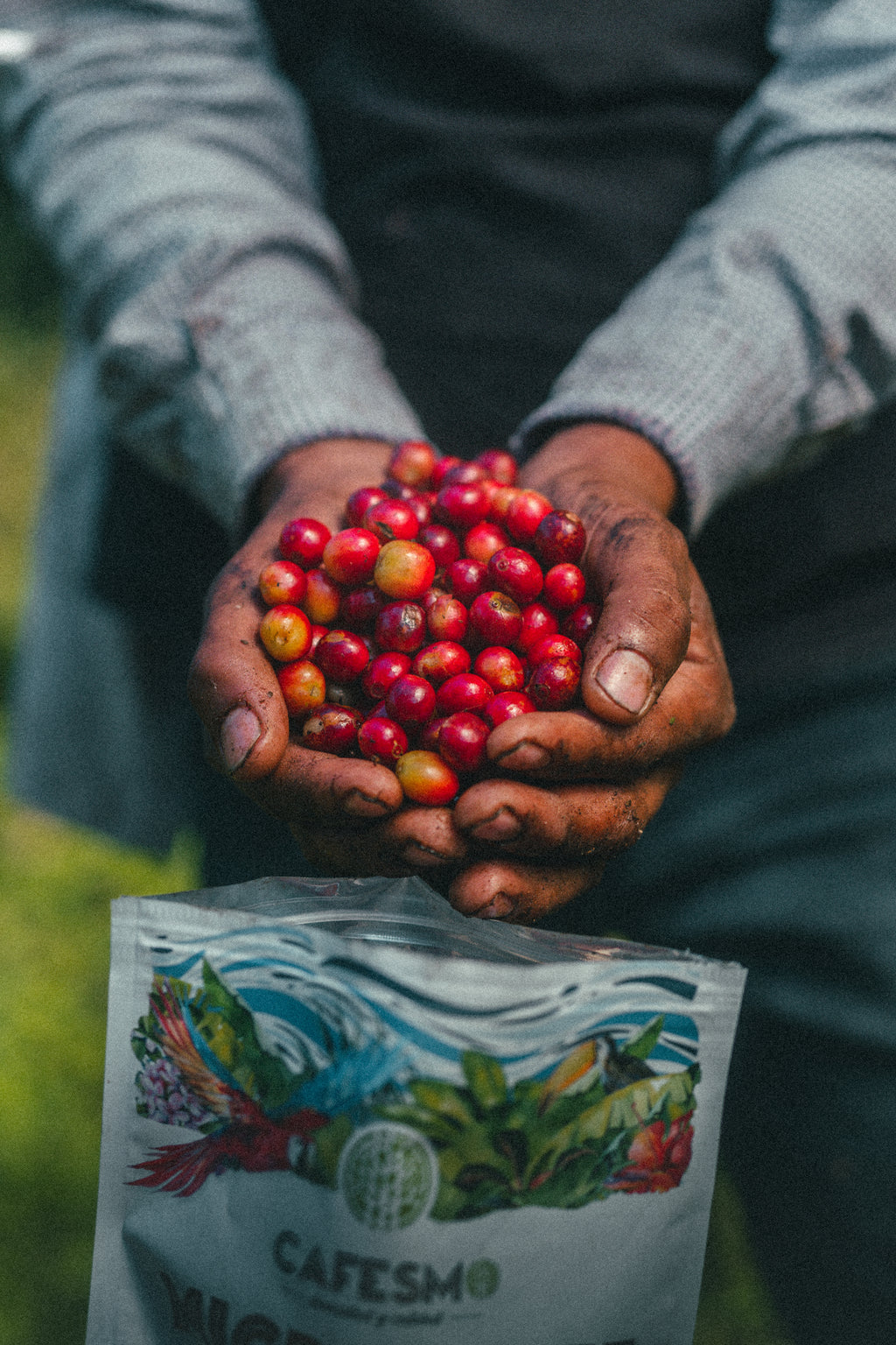 CAFESMO MICROLOTE (tueste medio)