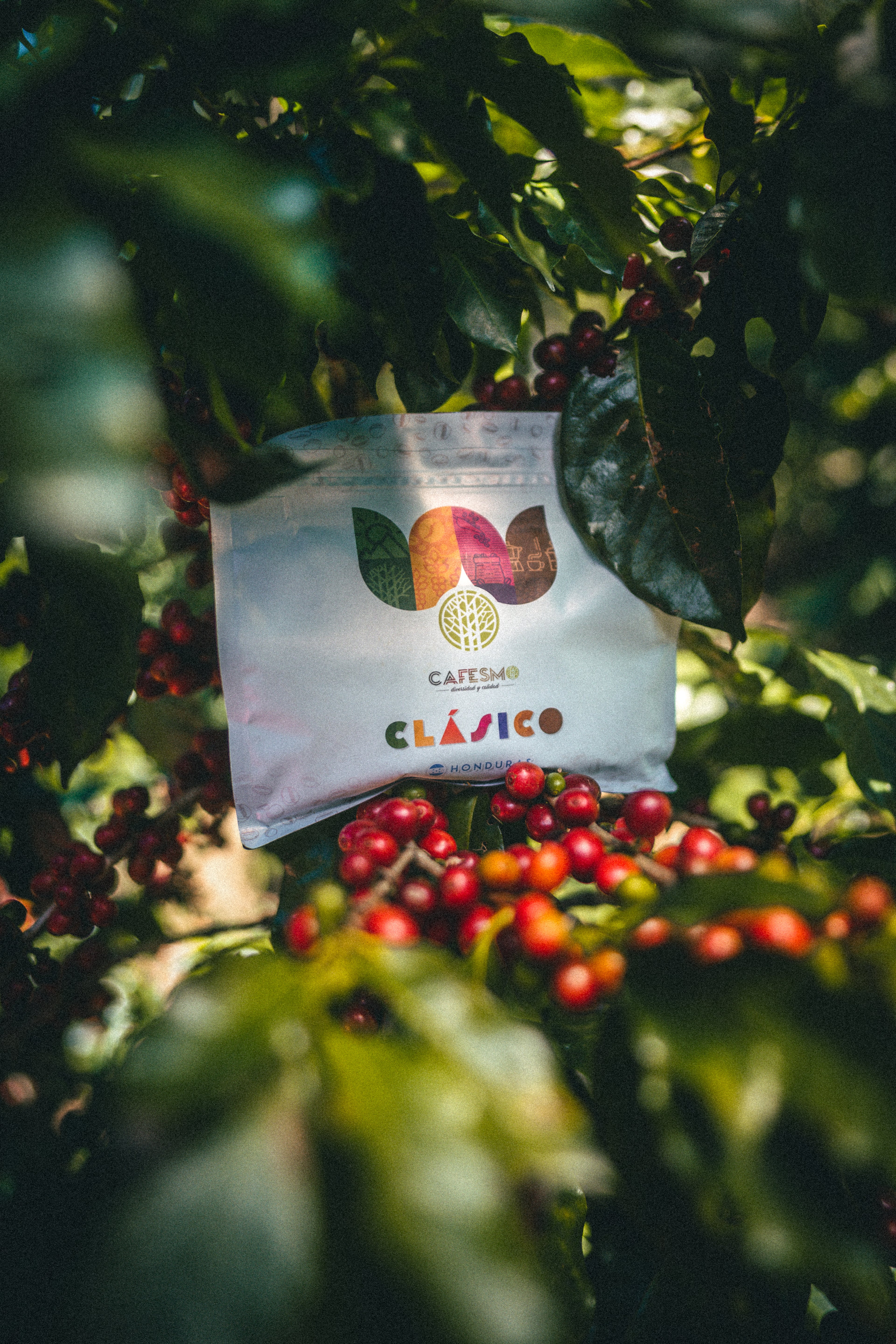 CAFESMO CLÁSICO (tueste medio)