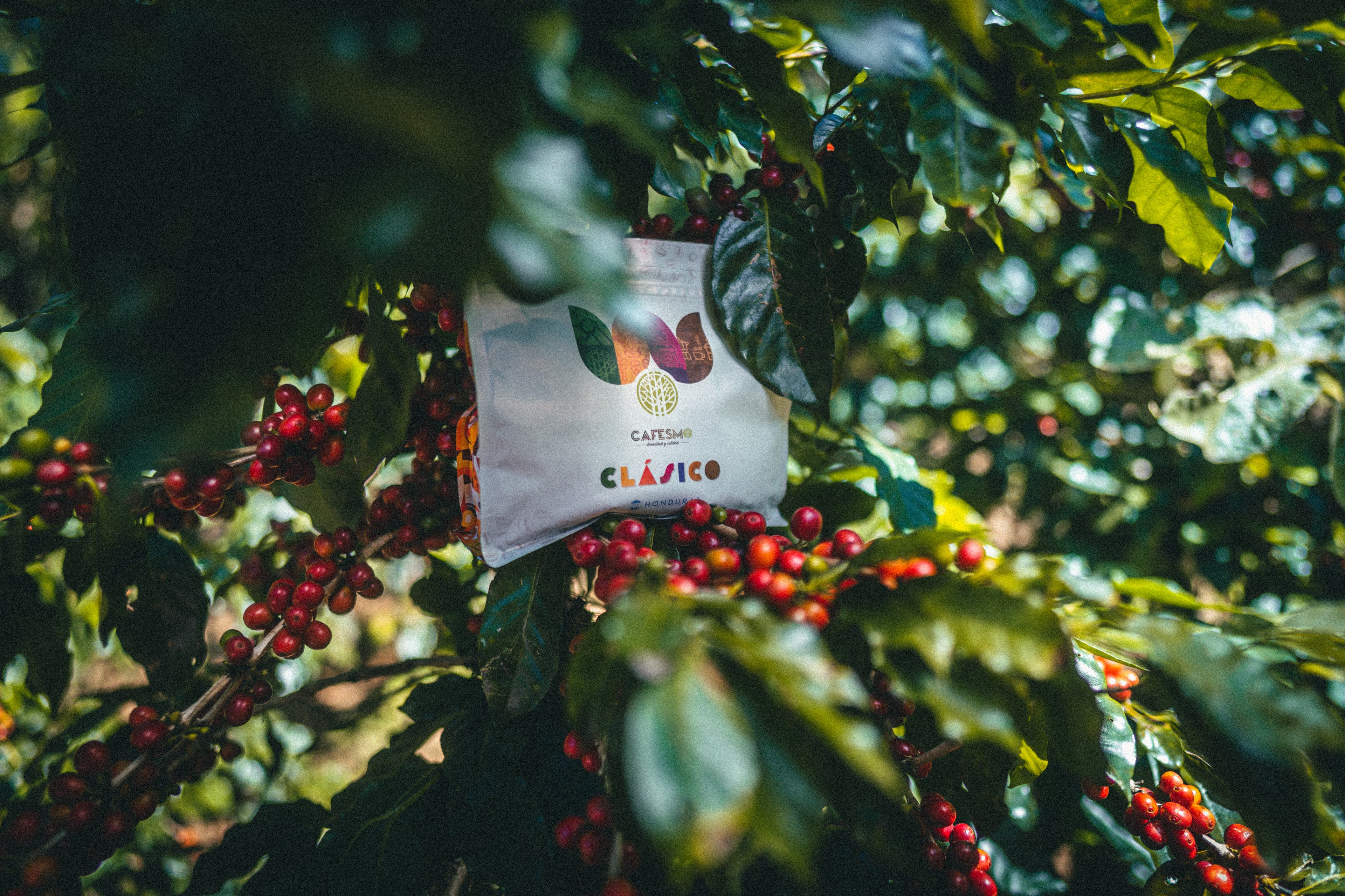 CAFESMO CLÁSICO (tueste medio)