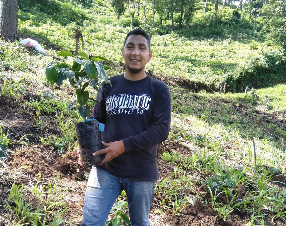 Galería CAFESMO productos y paisajes