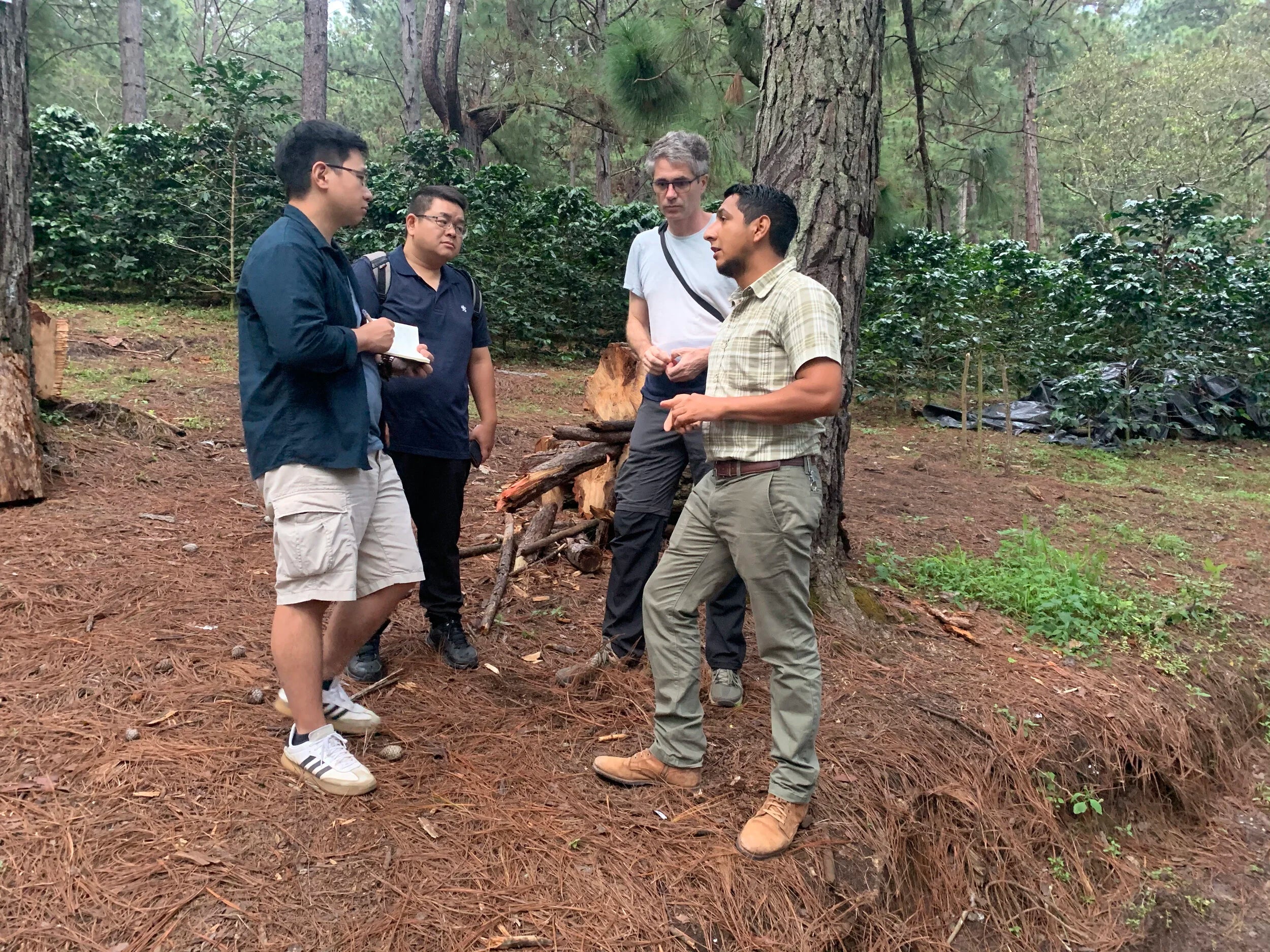 Galería finca y cafetales