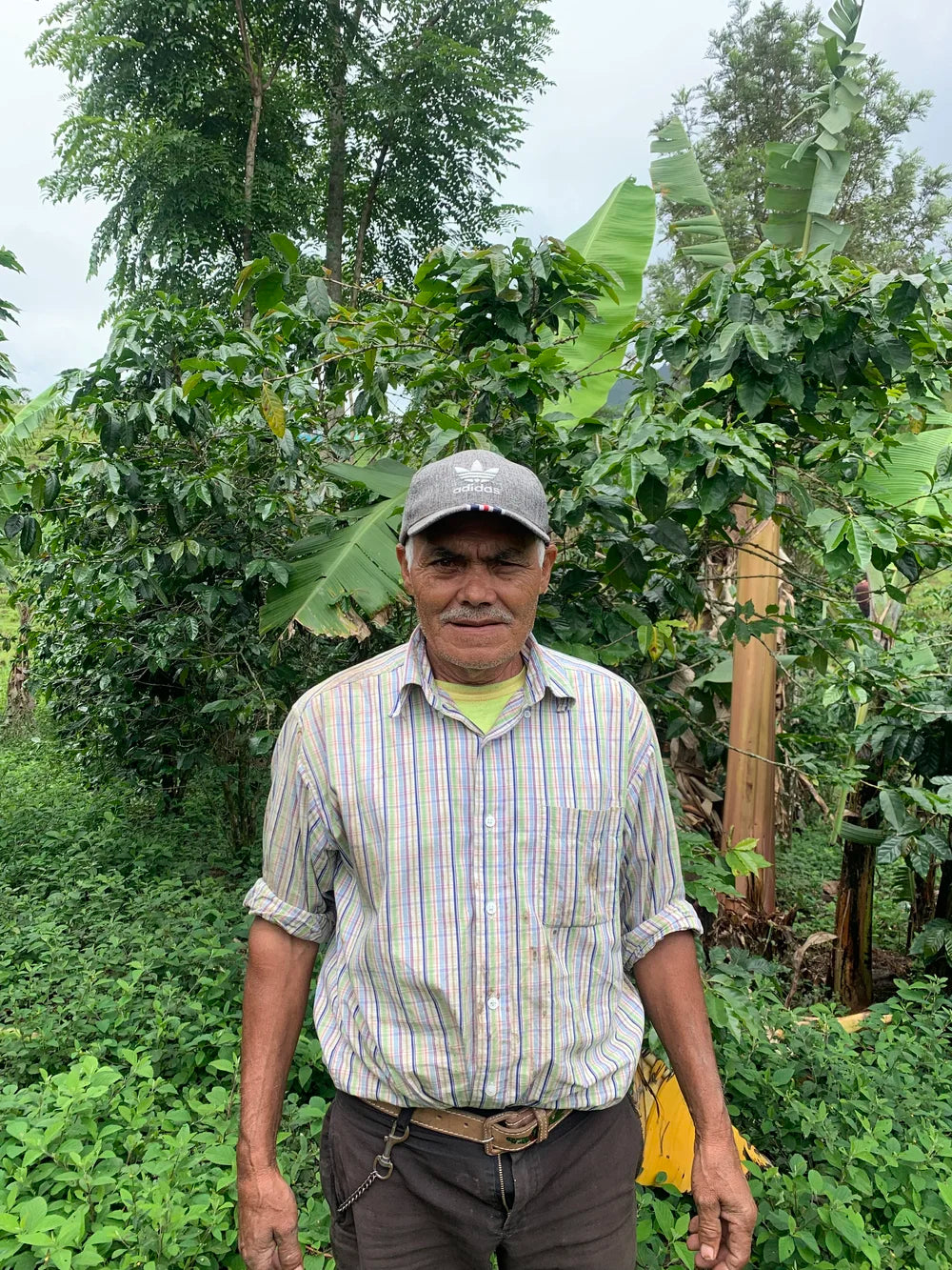 Galería CAFESMO familias productoras